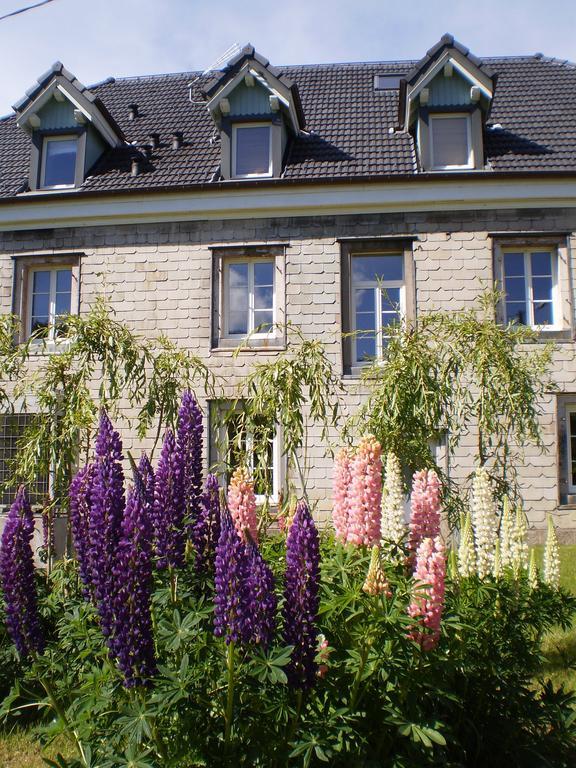 Chambres D'Hotes Le Clos Des Lesses Fresse-sur-Moselle Eksteriør bilde